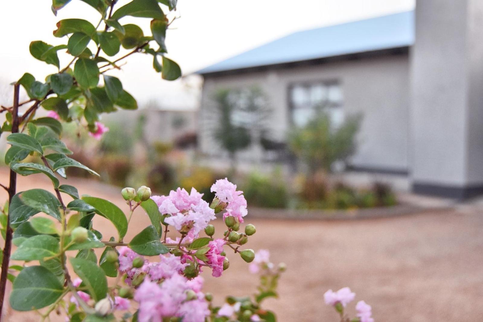 Knowhere Selfcatering Unit 1 Na Omaruru Extérieur photo