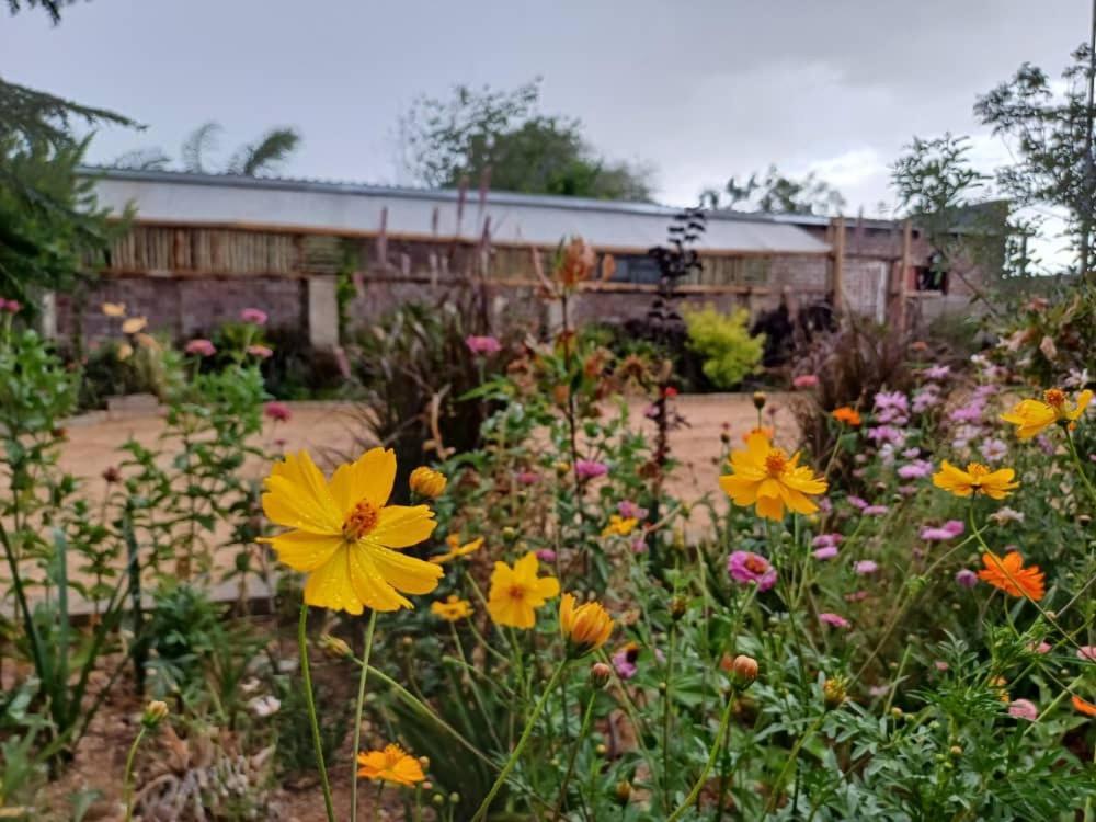 Knowhere Selfcatering Unit 1 Na Omaruru Extérieur photo